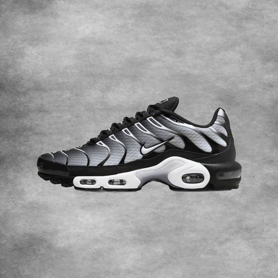 Nike Air Max Plus TN Black Silver Gradient